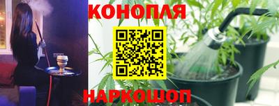бошки Гагарин