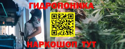 альфа пвп Гай