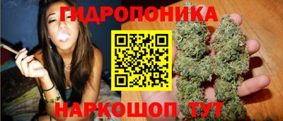 бошки Гагарин