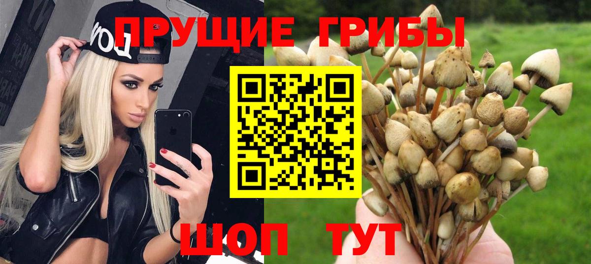 Псилоцибиновые грибы мухоморы  Вход с VPN  Губаха 